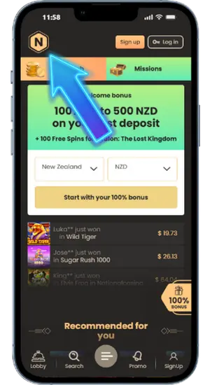 Visit the official National Casino NZ site
